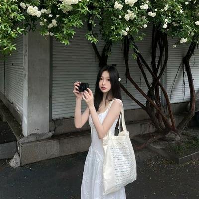 小迪克西